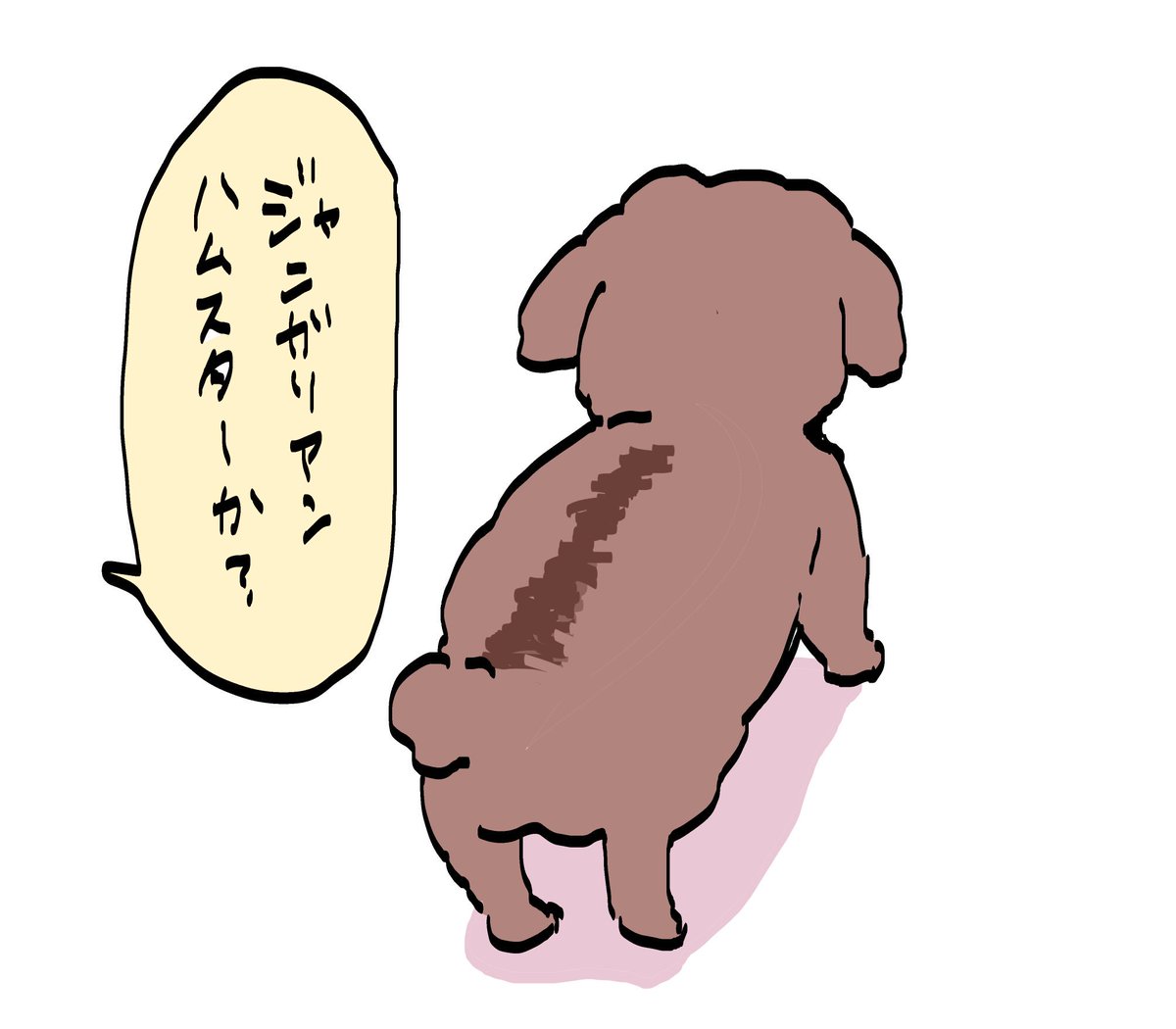 うちのトイプーがアイドルすぎる 皆のアイドル クーさん が虹の橋を渡る Togetter うちのトイプーがアイドルすぎる 皆のアイドル クーさん が虹の橋を渡る Togetter