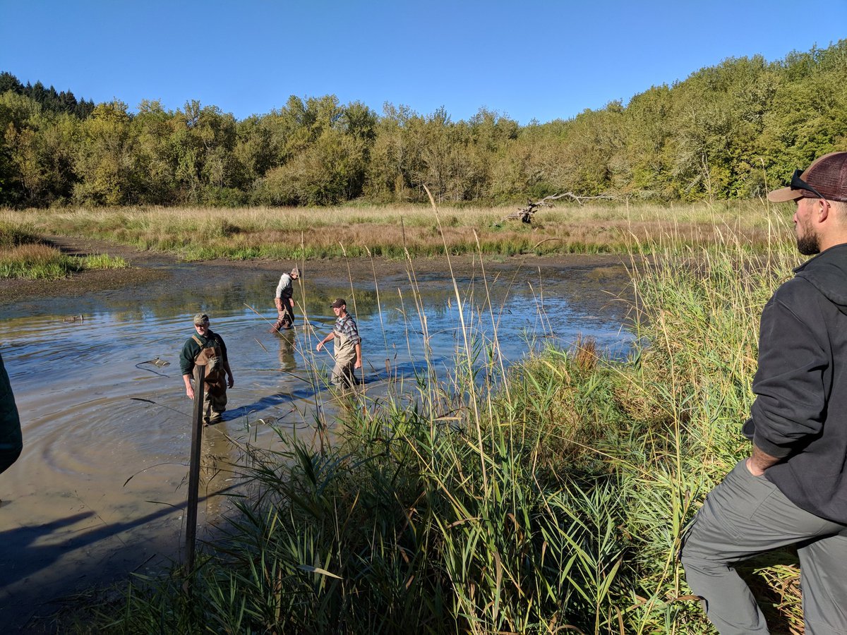 LauraEMcM's tweet photo. Such a treat to attend the Oregon chapter of American Fisheries Society native fish workshop on Oregon chub and sandrollers with many dedicated fish biologists #NativeFish #AmericanFisheriesSociety #Chub #Sandroller https://t.co/HS92FK2mTN