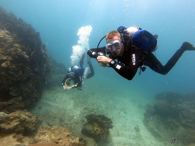 Great diving #diving #scuba #sea #underwater #scubadiving #ocean #padi #diver #underwaterphotography #diveraid #freedive #techdiving #sealife #summer #divealphavietnam #adventure #scubadivingmag #nhatrang #love #vietnam #nhatrangdiving  #nhatrangbeach #nhatrangtrip #instatravel