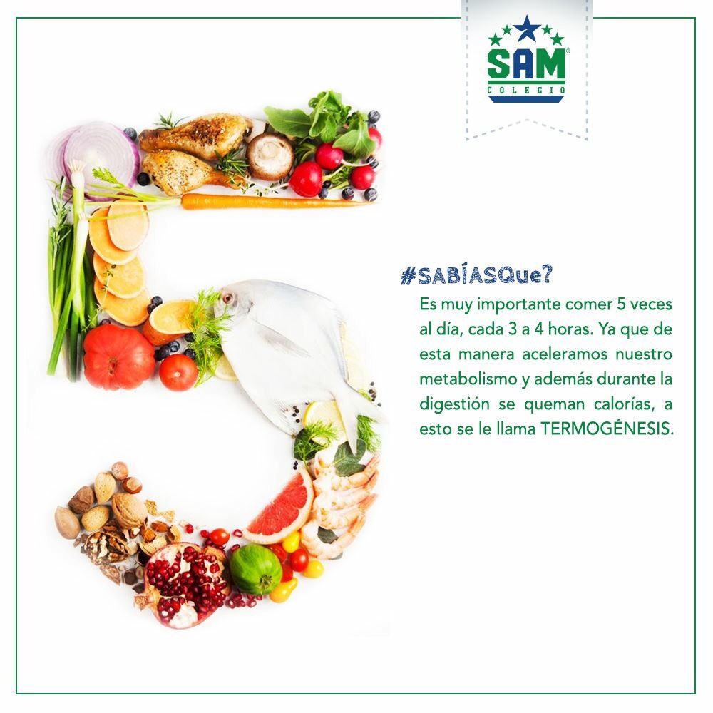 Sofia_rrg's tweet image. #SAMTips
Síguenos en Instagram instagram.com/colegiosamofic…
#OrgullosamenteSAM
Mayor información al:
985.22.88
promocion@colegiosam.mx