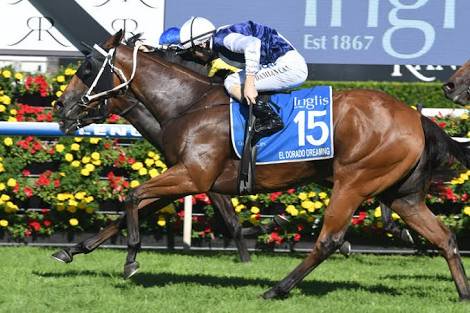 brillianceracin's tweet image. After the impressive trial of El Dorado Dreaming yesterday at Newcastle Racecourse defeating #Everest runner #InHerTime. Trainer Kris Lees Racing says he’ll discuss options with the owners about where to head. Thousand Guineas Prelude Sunday week or the Roman Consul are options.