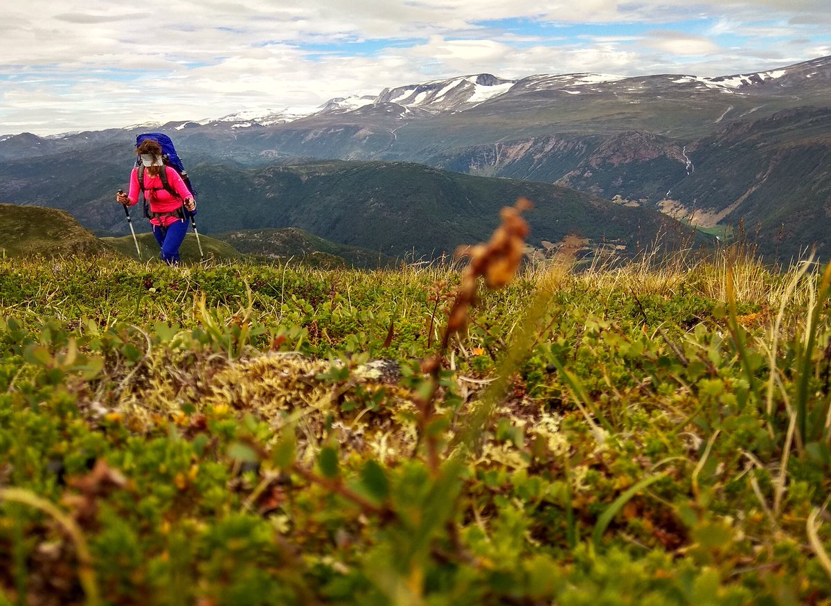 ElpidaDes's tweet photo. #Norway #nature #mountainlovers #hikinglife #explore #dowhatyoulove #Jotunheimen #freedom https://t.co/IagG1cbpLg