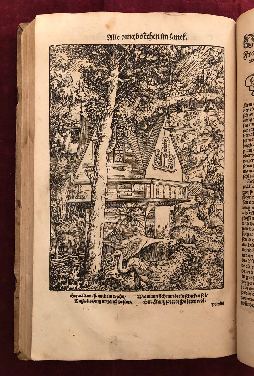 Hagstromerlibrary Hashtag On Twitter