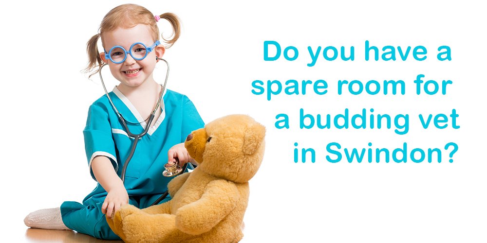 We urgently need more foster carers to look after children and young people in Swindon – could you help? Find out how to get in touch with the team on our website: swindon.gov.uk/fostering5