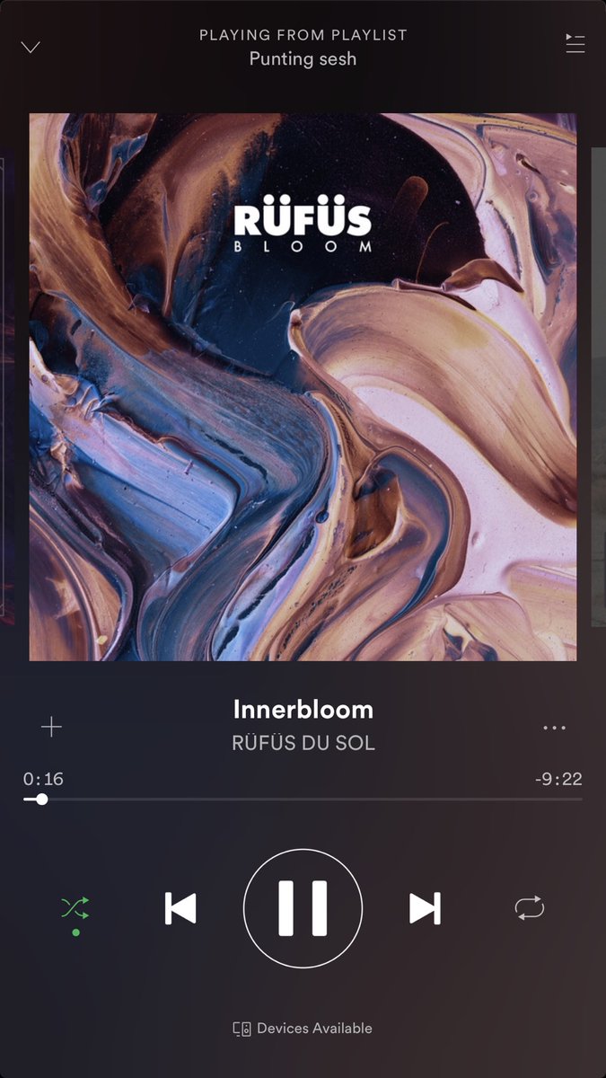 SamHollis22's tweet image. When @RufusDuSol #innerbloom comes on mid gym sesh, I stop and listen. What a tune. Can’t wait for #FielddaySydney