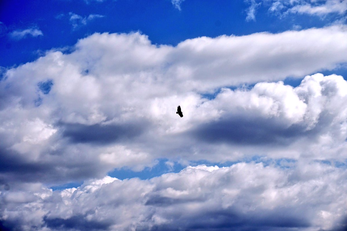 If you are (a) somebody when you are succesfull, what are you when you are unsuccesfull? #philosophy #personaldevelopment #justcurious #conscious