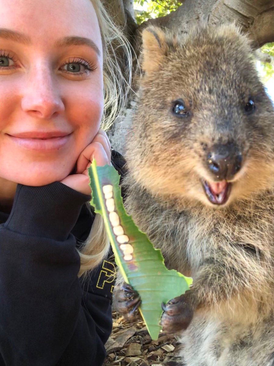 Lozcurtis's tweet photo. I think I am in love? https://t.co/0R5F8Nnwr8