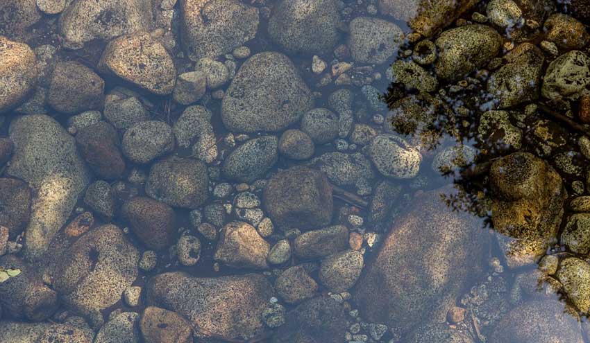 RevistaRETEMA's tweet image. 💧 Efectos de los #microplásticos en ecosistemas acuáticos y terrestres retema.es/noticia/efecto…

➡️ El proyecto IMPASSE ha sido presentado en el Congreso Mundial del Agua de @IWAHQ en Tokio