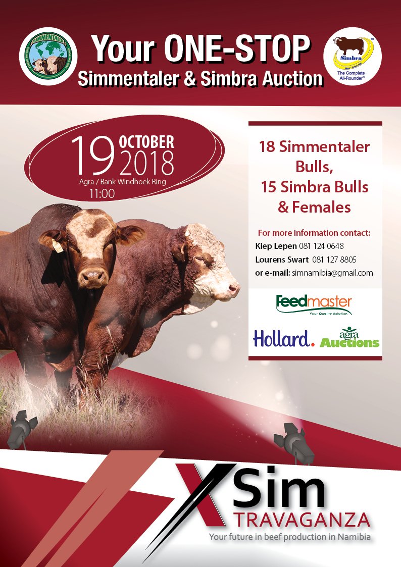 SimbraZA's tweet image. Sim Xtravaganza Veiling, 19 Oktober 2018 om 11:00 te Windhoek, Namibië. #Simbra Aanbod: 15 Bulle &amp;amp; vroulike diere
Katalogus beskikbaar: abri.une.edu.au/online/cgi-bin…