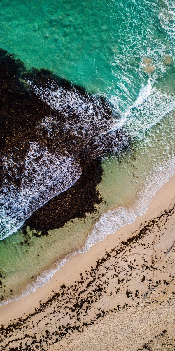 itz_KKRaja's tweet image. #home_screen #wallpaper 
👍