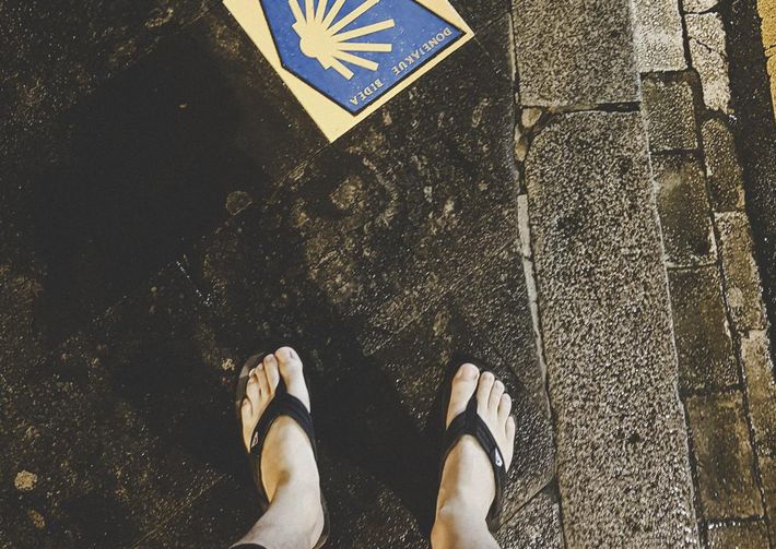 Jeder spricht vom #Jakobsweg.... Aber was macht diesen Weg so besonders? Jetzt lesen! 🤔 goo.gl/zpvM7T #Camino #CaminodeSantiago #CaminoFrances #Spanien #wayOfStJames #Pilgern #Pilgrim #buencamino #peregrino #Tbt #Wandern