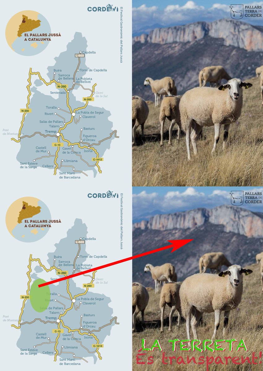 AlexdeBarreda's tweet image. #CordeVi #Alteugust #alimentsdelpallars