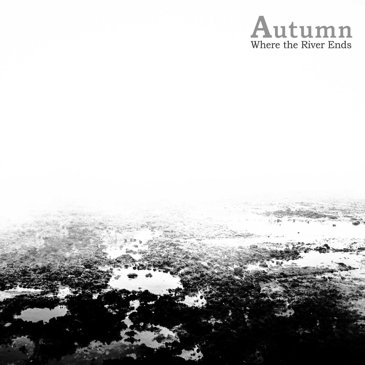 The new AUTUMN song you guys have chosen is now online! Tell us what you think! ❤️ autumn-band.bandcamp.com/track/where-th…