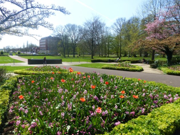 whtimes's tweet image. #WelwynHatfield awarded in Anglia in Bloom awards. Lovely to see the area's beauty being recognised
whtimes.co.uk/news/welwyn-ha…