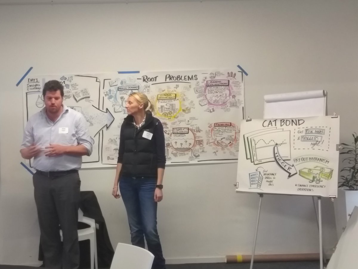 Mike from <a href="/thegreencape/">GreenCape</a> presenting the idea of creating a cat bond for the city of Cape town to insure against extreme events at #100RC