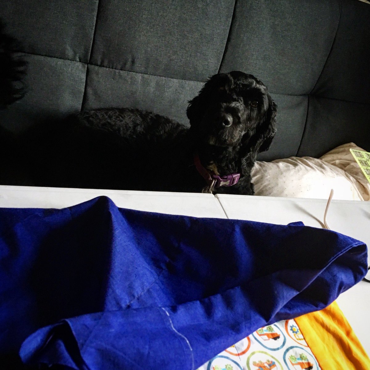 Who is your sewing buddy? My lovely Marley Moo always supervises my stitches! #sewing #sewingbuddy