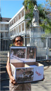 SaveOurMonkeys's tweet photo. A @Care2 petition, signed by over 85,000 people has been delivered urging the Prime Minister The Hon. Pravind Kumar Jugnauth to introduce legislation to ban the keeping of #monkeys as #pets on #Mauritius Find out about their plight: 
https://t.co/qUCExpxA7F #monkeysarenotpets https://t.co/Hc02N52dD4