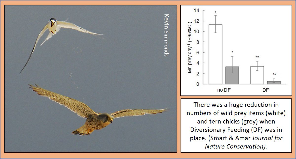 How to do #scicomm ...
Publish paper ☑️ 
sciencedirect.com/science/articl… 
Tell press team ☑️ 
Twitter & Facebook ☑️ 
Organise blog ☑️ 
wadertales.wordpress.com/2018/09/19/det…
Radio interview ☑️
At 1:45 on bbc.co.uk/radio/play/p06…
Nice work, @drredshank 
#ornithology