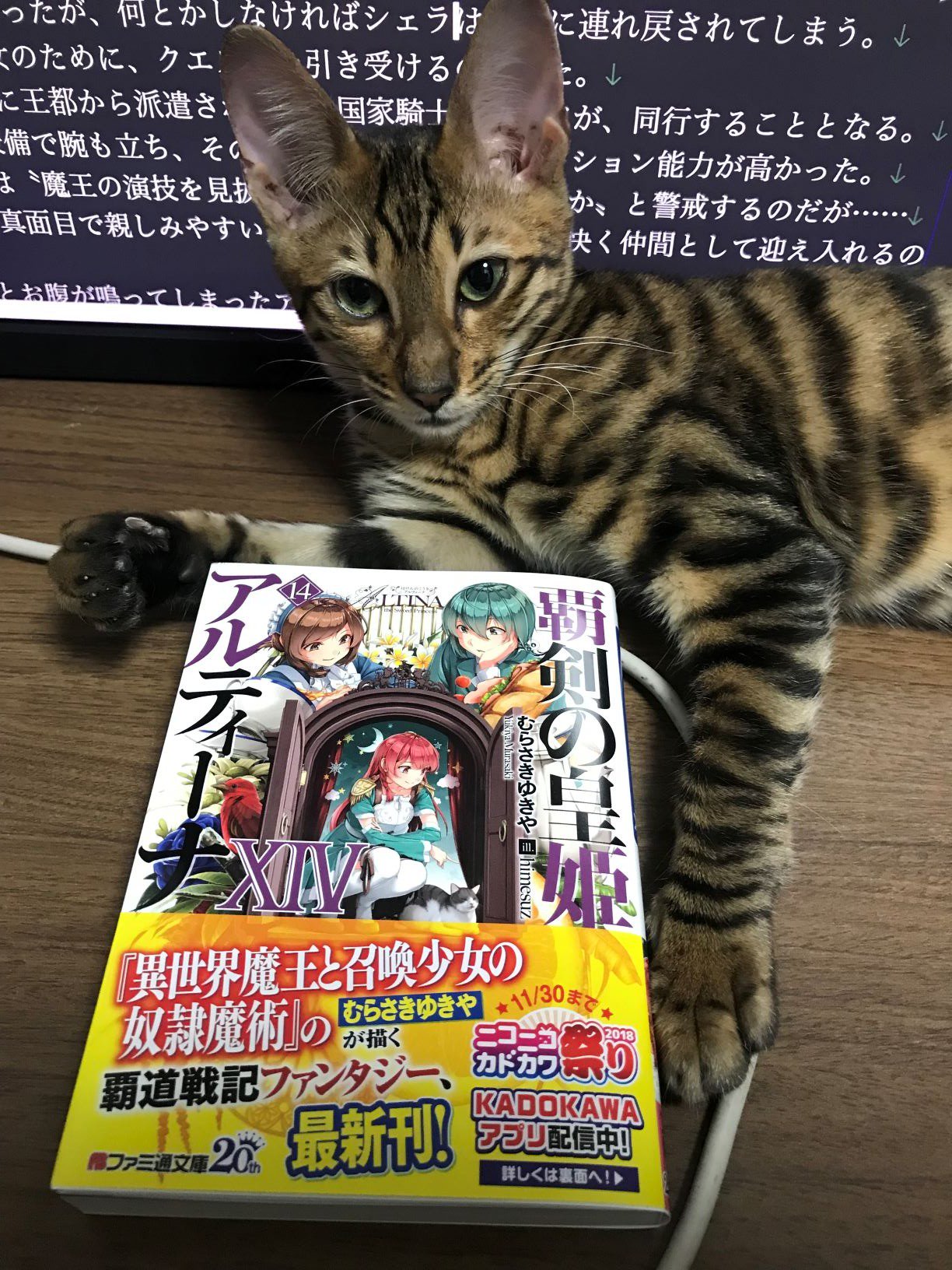 むらさきゆきや 異世界魔王と召喚少女の奴隷魔術 アニメ最終話 とうとう今夜ですね 緊張します 見本誌が来たんで こちらも紹介させてください 9 29刊行の 覇剣の皇姫アルティーナ第14巻 むらさきゆきや 異世界魔王と召喚少女の奴隷魔術 アニメ最終話 とうとう今夜ですね 緊張します 見本誌が来たんで こちらも紹介させてください 9 29刊行の 覇剣の皇姫アルティーナ第14巻