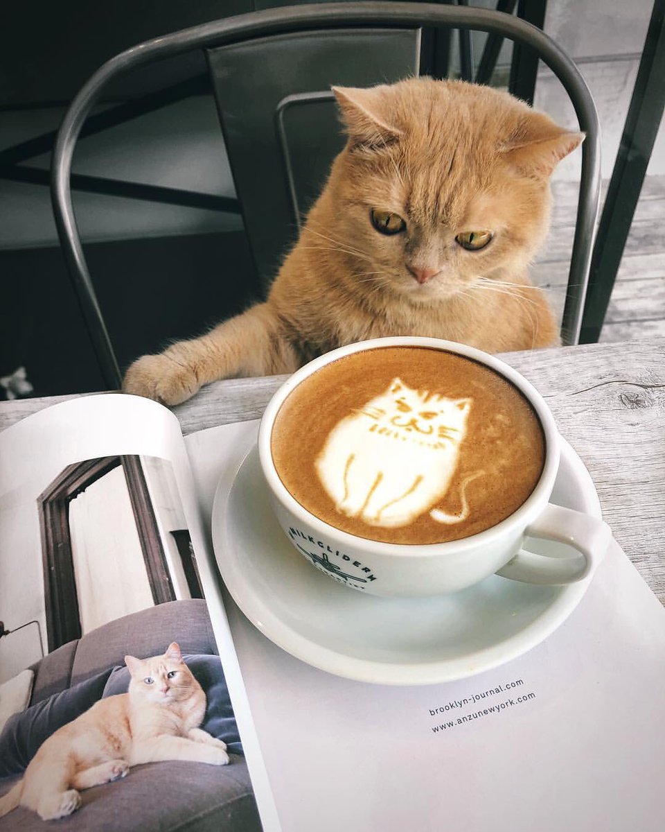 Good morning ☕️ when you see abit of yourself in the coffees you make... 🐱