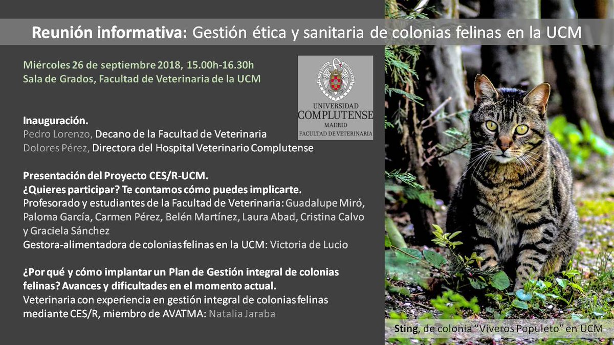 🆕🐈GESTIÓN ÉTICA Y SANITARIA DE COLONIAS FELINAS EN LA UCM.
¿Quieres participar? Te contamos cómo puedes implicarte.

Reunión informativa del proyecto ➡ Miércoles 26 de SEPTIEMBRE 15h en la Sala de Grados de nuestra Facultad de Veterinaria.