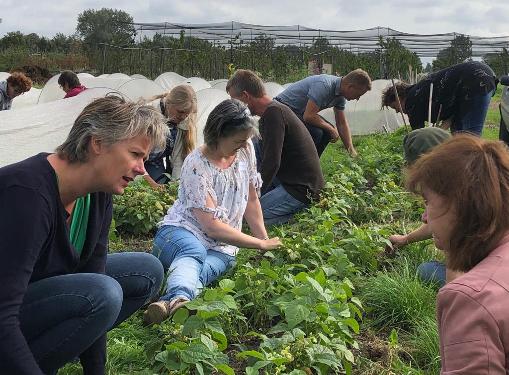 JongLerenEtenNH's tweet photo. Educatieboeren leren van elkaar bij de #Fruittuinvanwest! Wat zijn subsidiemogelijkheden, hoe werk je lokaal slimmer samen om meer scholen een mooi programma te kunnen bieden? Wordt vervolgd! Dank #Cityplot voor de organisatie!!! https://t.co/irUpQcOdgG
