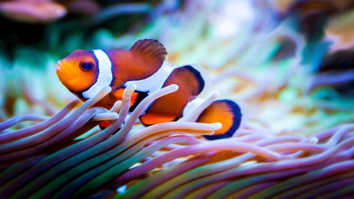 ufcwlocal152's tweet photo. 🐠Today we are introducing a NEW perk for #UFCWLocal152 members: discounted tickets to @AdventureAqua! A family of 4 will save over $40 with this discount, enough for lunch/souvenirs!🐟
Learn more:
https://t.co/OIqdsFi56E
#familyfun #ufcw #ufcwvalue #union #unionvalue #local152 https://t.co/kBKIy69LLJ