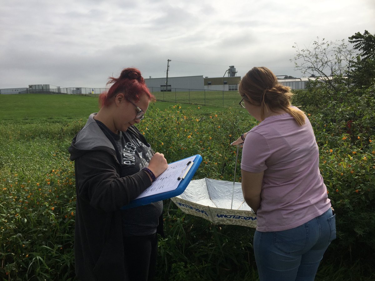 sunflow3r631's tweet photo. #fieldecology #ss investigating terrestrial insects with quadrats #pitfall #beating #sweepnet #bhslearns https://t.co/MQ7TwEWddx