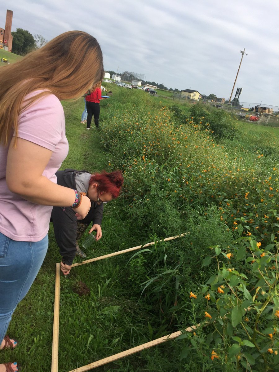 sunflow3r631's tweet photo. #fieldecology #ss investigating terrestrial insects with quadrats #pitfall #beating #sweepnet #bhslearns https://t.co/MQ7TwEWddx