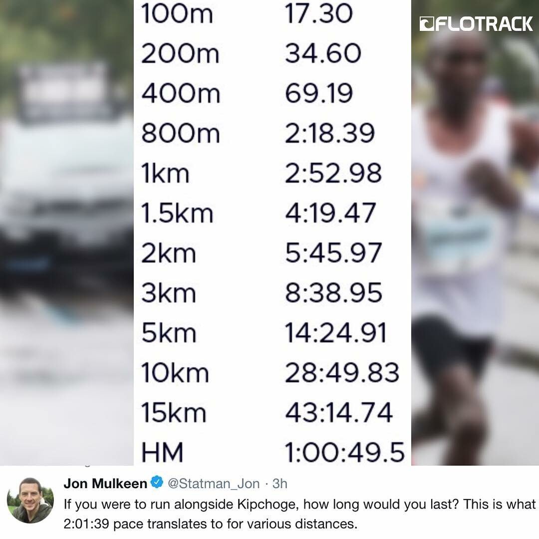 TotalMotionEvts's tweet image. How long would you last? 400-800m? At a push! 😬 #UKRunChat #ThursdayThoughts