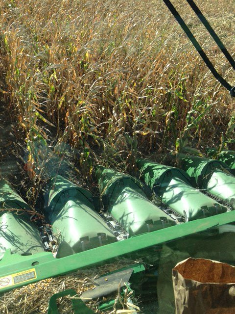 Hey all you #lowpopmafia lovers out there, check out <a href="/ChannelSeed/">Channel Seed</a> 209-15. Planted at 12K on short shared water averaging 153bu/acre in Hugoton America! #corniscool