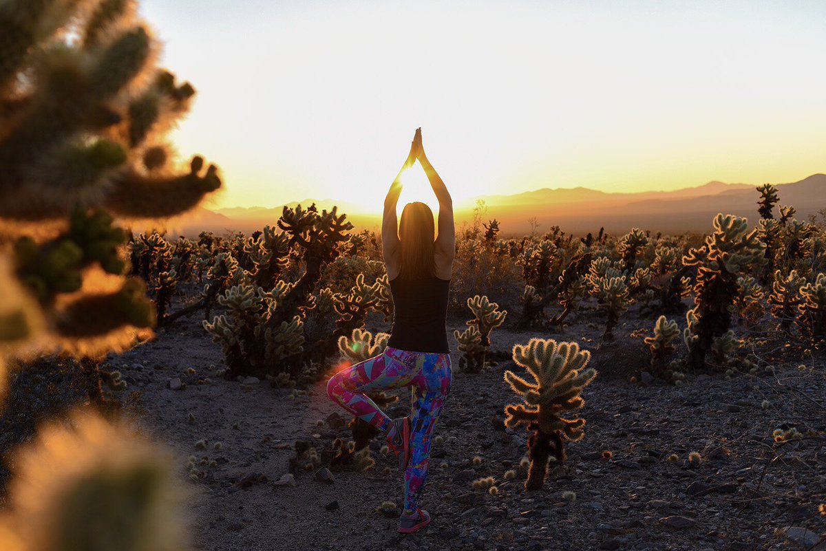 thedivinemvmnt's tweet photo. Live life off the mat! 

Join us Nov 1-4, 2018 in Joshua Tree, CA for our Divine Evolution Retreat incl: #Yoga #Meditation #Nonduality #UnlockingPsychicPotential #Workshops #HealingAndAwakening #LivePodcast #Numerology #Adventure #Music  

Sign up: https://t.co/IiqhIh4u71 https://t.co/YjWWI5pTE4