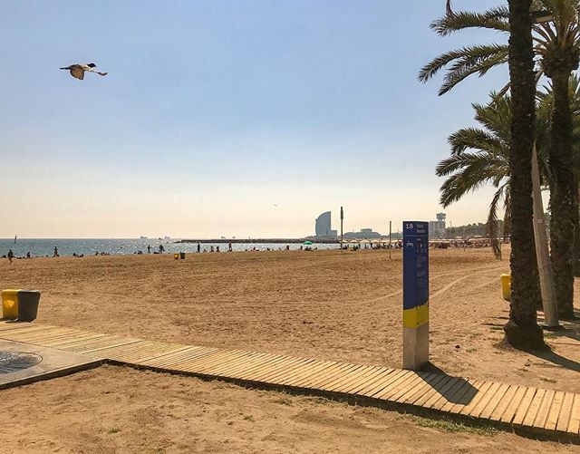 Carolina_1522's tweet image. Comer con vistas con los compis de la ofi ☺️ #beach #barcelona #barcelonetabeach #barceloneta #sea #mediterranean bit.ly/2OC6of6