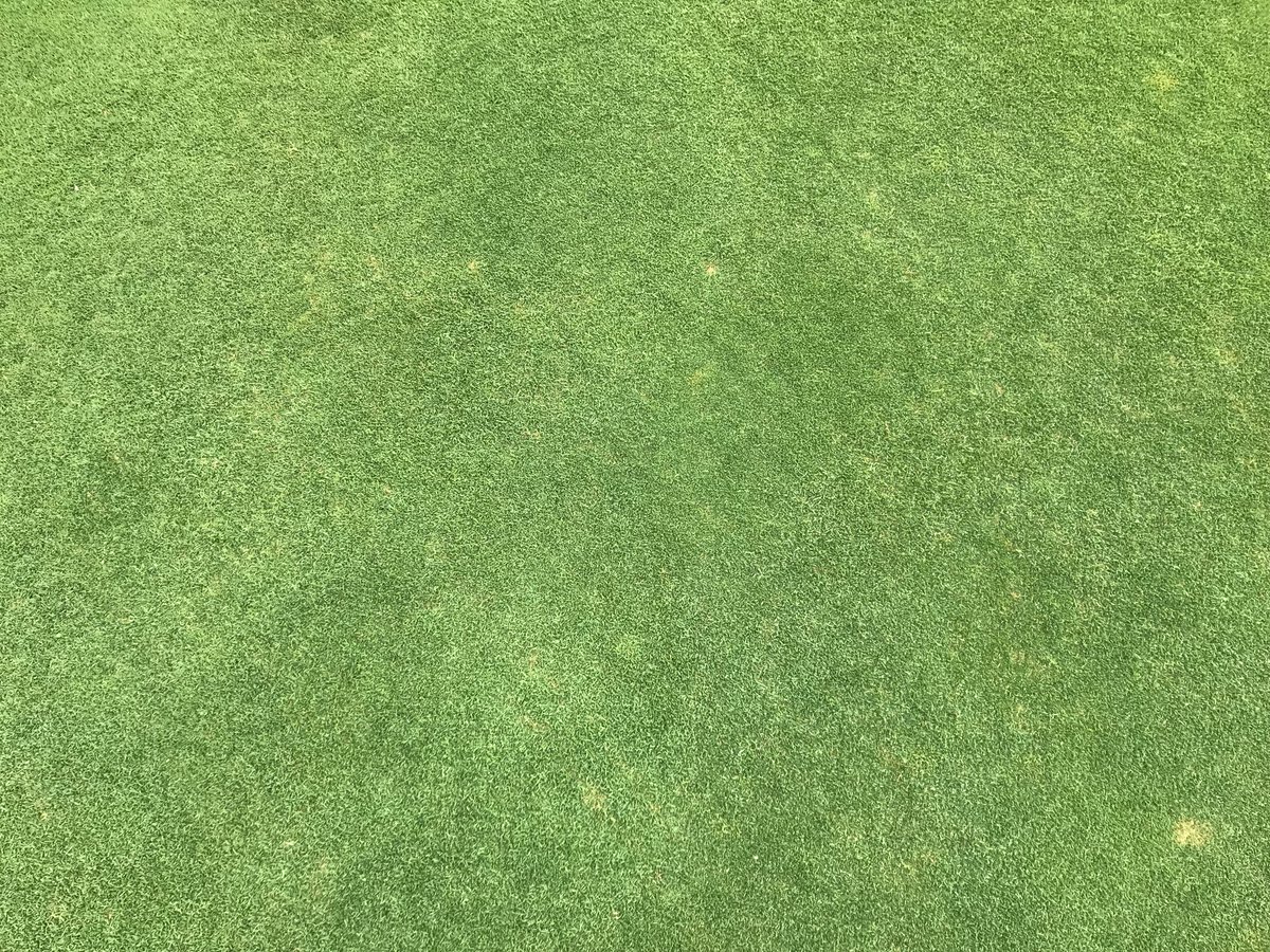 Damien Bowe tweet media