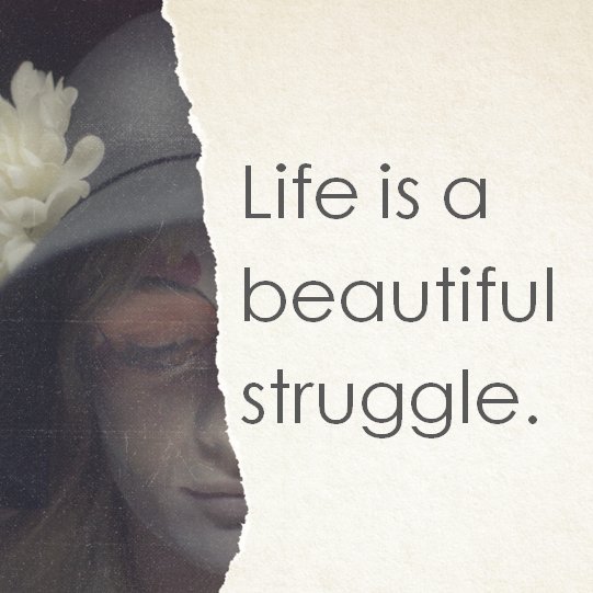 EmptyChairDoc's tweet image. 