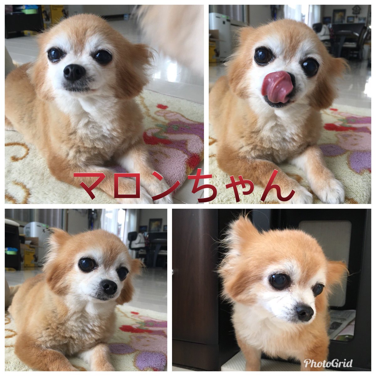 murasetosou's tweet photo. https://t.co/ExvdlPlVJr