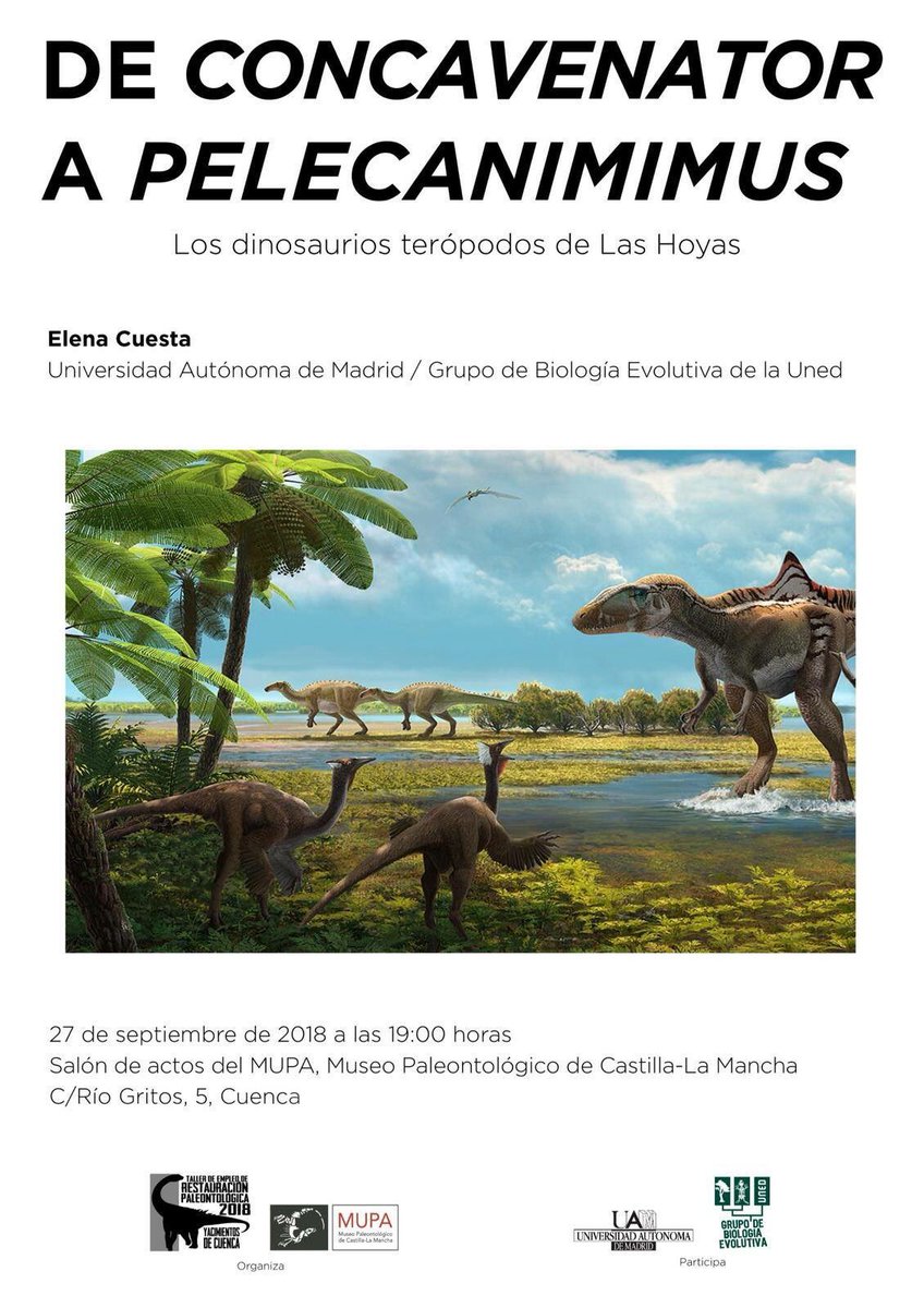 Museo de Paleontología de Castilla-La Mancha tweet media