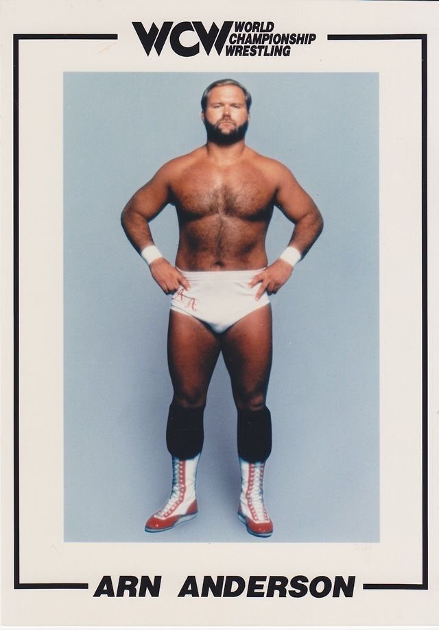 Happy 60th Birthday today to Arn Anderson! 