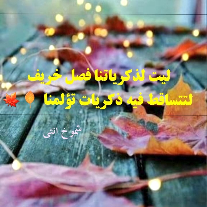 ليت لذكرياتنا فصل خريف لتتساقط فيه ذكريات تؤلمنا🍁