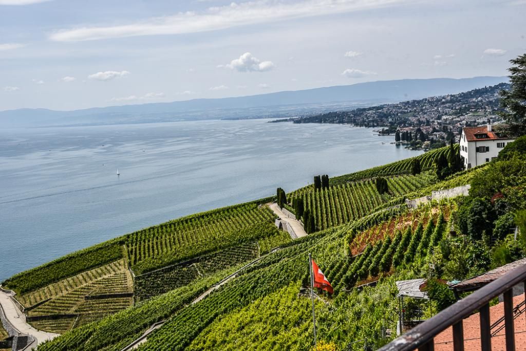 #Travel - A Luxurious Day in Lausanne, #Switzerland, via <a href="/SilverSpoonLDN/">Angie Silver</a> app.quuu.co/r/npg-gll