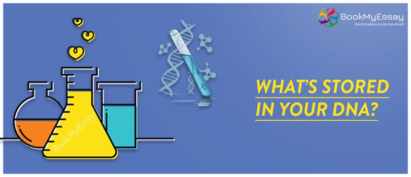 Book_My_Essay's tweet image. What’s Stored in Your DNA?
bit.ly/2Nqrq3v
#ScienceAssignmentHelp #HomeworkHelp #DissertationProposalWritingHelp #WritingService #TermPaperWriting #BookMyEssay
