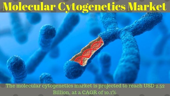 gajanans7's tweet image. Which geography would provide most opportunities in Molecular Cytogenetics Market for next 5 years?

Download Pdf: tinyurl.com/yaqyhdzm

#MolecularCytogenetics #Software #service #Cancer #CancerResearch #Genetics #Research #PersonalizedMedicine 
@AbbottGlobal 
@thermofisher