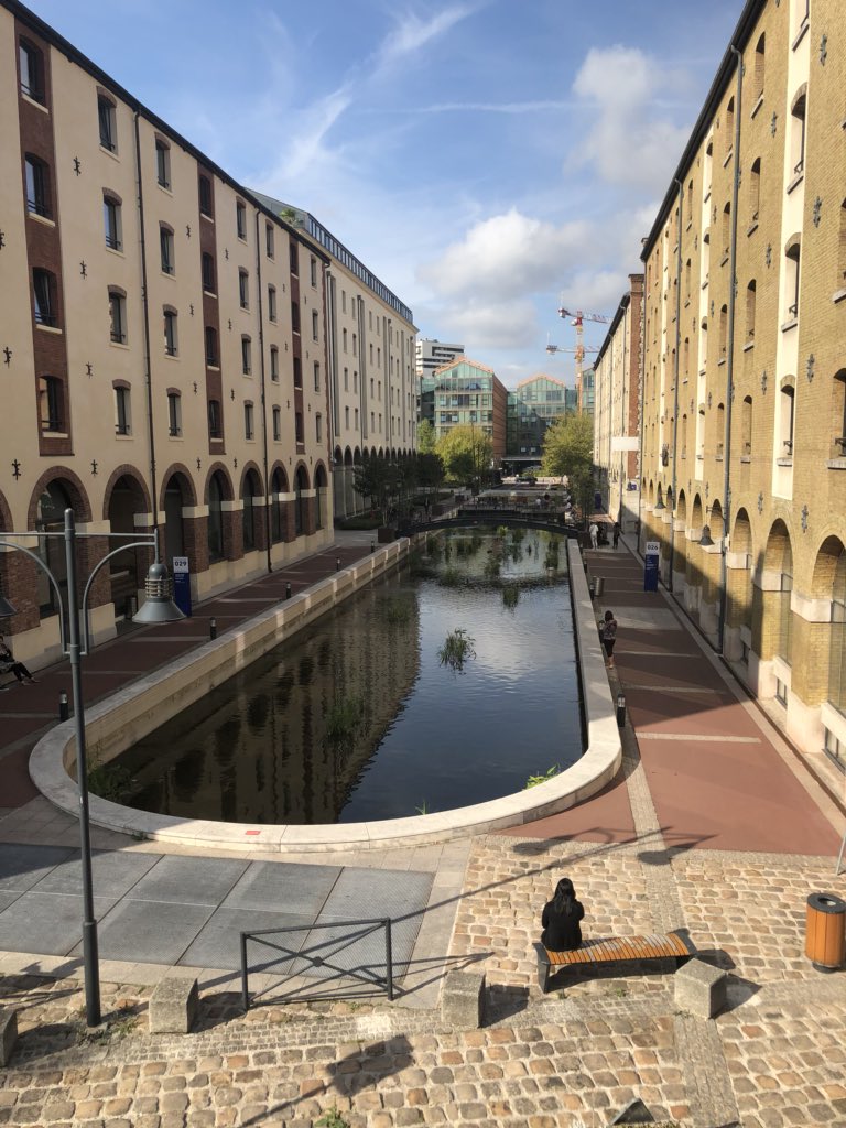 Jacco van Pelt tweet media