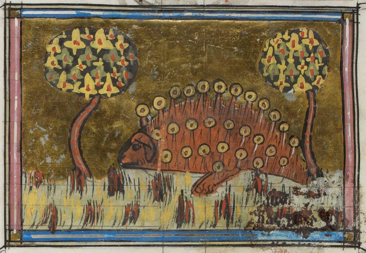 Gallica Bnf On Twitter Ceci Nest Pas Un Hérisson De Noël - 