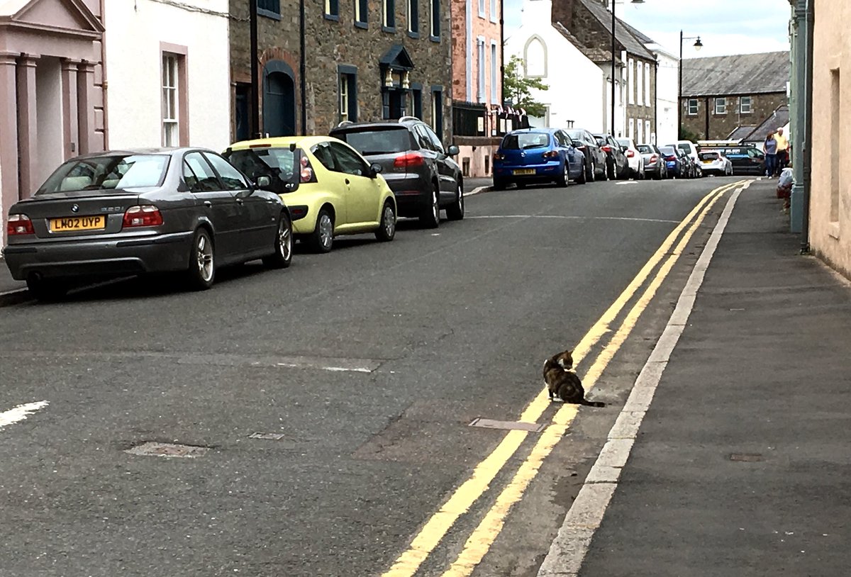 alistair_fenn's tweet image. I’ve seen some incredible things working as part of #ProjectReveal, but never an illegally parked cat. He must really want to visit #BroughtonHouse

@Rachel_With_AnE 
@NTSCollections 
@JohnMac1320
