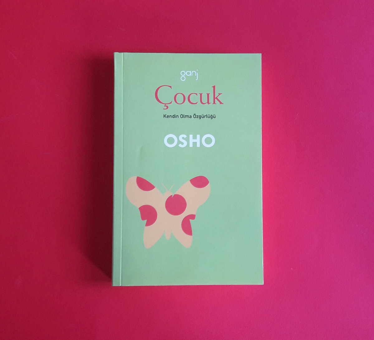"Anne babalar boyun eğen çocukları sever ve unutma ki boyun eğen çocuk en aptal olandır. Başkaldıran çocuk ise zeki olandır ama ona saygı duyulmaz ya da o sevilmez. Öğretmenler onu sevmez, toplum ona saygı göstermez; o kötülenir. 

Ben ise senin çocuklara saygı duymanı isterim."