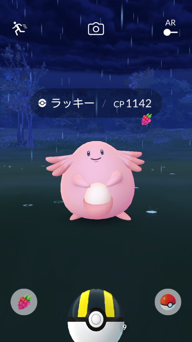 野生のラッキー