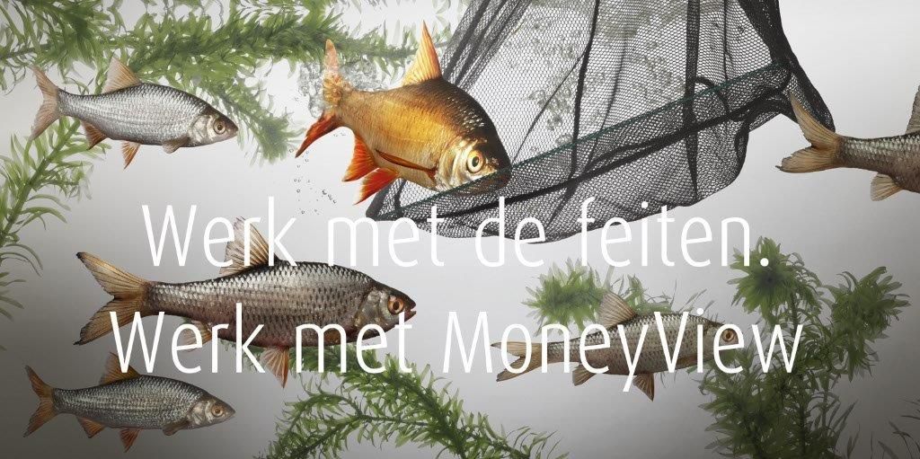 MoneyView Research tweet media