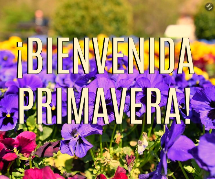 ¡Te esperábamos! #DíaDeLaPrimavera