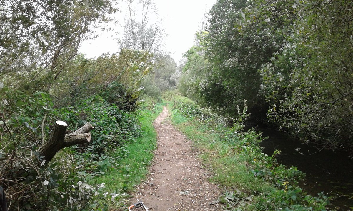 Tree now clear from barge canal path @#FishlakeMeadows 💪👍